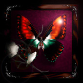 He muerto para ti . . . Porque para mi ya estas en tierra de recuerdos